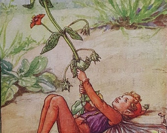 Flower Fairy Pop-up Theater：シシリーメアリーバーカー Flower Fairies Pop-Up Theater Book - Cicely Mary Barker