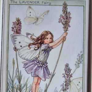Flower Fairy Vintage Print Lavender Fairy Cicely Mary Barker