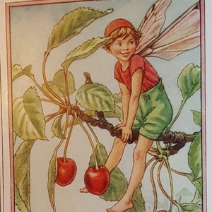 Cherry Tree Flower Fairy UNMOUNTED Flower Fairies 1930&#39;s CICELY M BARKER Nostalgic Vintage Original Print .