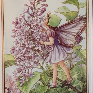 Lilac Tree Flower Fairy UNMOUNTED Flower Fairies 1930&#39;s CICELY M BARKER Nostalgic Vintage Original Print Ready to Frame.