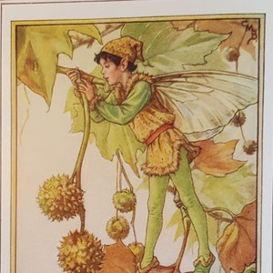 Plane Tree Flower Fairy UNMOUNTED Flower Fairies 1930&#39;s CICELY M BARKER Nostalgic Vintage Original Print .