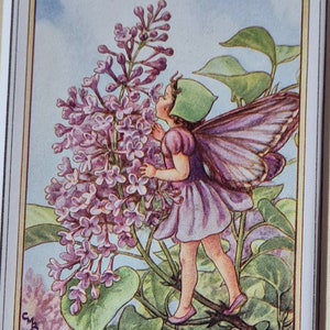 Impression vintage lilas arbre fleur fée CICELY MARY BARKER fleur fées impression nostalgique originale montée prête à encadrer.