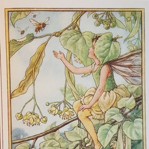 Lime Tree Flower Fairy UNMOUNTED Flower Fairies 1930&#39;s CICELY M BARKER Nostalgic Vintage Original Print .
