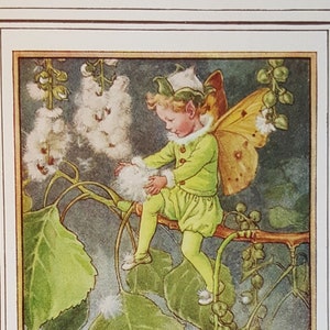 Poplar Tree Flower Fairy UNMOUNTED Flower Fairies 1930&#39;s CICELY M BARKER Nostalgic Vintage Original Print .