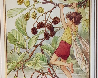 Alder Tree Flower Fairy UNMOUNTED Flower Fairies 1930's CICELY M BARKER Nostalgic Vintage Original Print Ready to Frame.