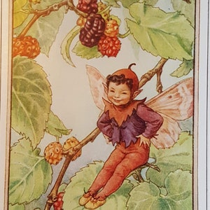 Mulberry Tree Flower Fairy UNMOUNTED Flower Fairies 1930&#39;s CICELY M BARKER Nostalgic Vintage Original Print .