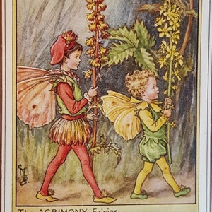 Agrimony Flower Fairy UNMOUNTED Flower Fairies 1930&#39;s CICELY M BARKER Nostalgic Vintage Original Print .