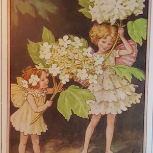 Guelder Rose Tree Flower Fairy UNMOUNTED Flower Fairies 1930&#39;s CICELY M BARKER Nostalgic Vintage Original Print .