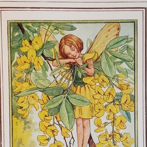 Laburnam Flower Fairy UNMOUNTED Flower Fairies 1930&#39;s CICELY M BARKER Nostalgic Vintage Original Print .
