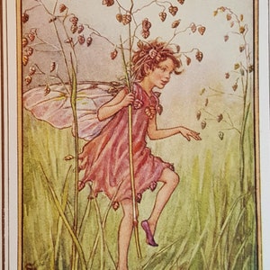 Totter Grass, Quaking Grass Flower Fairy UNMOUNTED Flower Fairies 1930&#39;s CICELY M BARKER Impresión original vintage nostálgica.