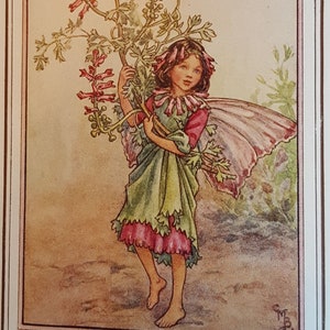 Fumitory Flower Fairy UNMOUNTED Flower Fairies 1930&#39;s CICELY M BARKER Nostalgic Vintage Original Print .