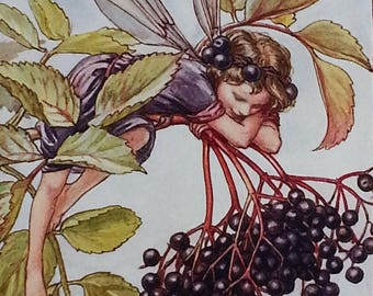 Flower Fairiy Vintage Print Autumn Elderberry Fairy Cicely Mary Barker Flower Fairies Original Print 1930s Mounted Ready to Frame