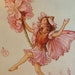 see more listings in the Flower Fairies Unmounted section