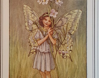 Flower Fairy Mounted Vintage Print Narcissus Garden Fairy Cicely
