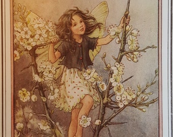Ragwort Flower Fairy Vintage Print Cicely Mary Barker Flower