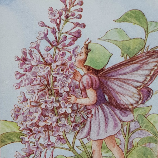 Vintage Flower Fairy - Etsy