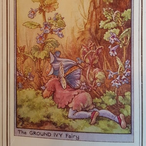 Ground Ivy Flower Fairy UNMOUNTED Flower Fairies 1930&#39;s CICELY M BARKER Nostalgic Vintage Original Print Ready to Frame.