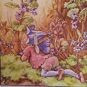 Flower Fairy Ground Ivy Vintage Print 1930s Mounted Cicely Mary Barker Flower Fairies Original Print 1930s Mounted Ready to Frame