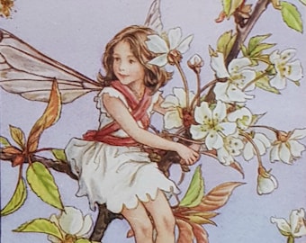 Wild Cherry Blossom Tree Flower Fairy Vintage Print  CICELY MARY BARKER Flower Fairies Nostalgic Original Print Mounted Ready to Frame.