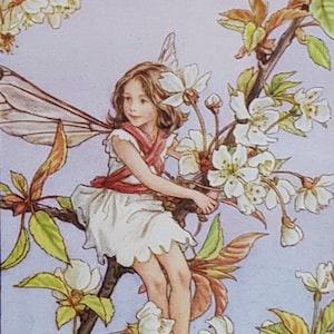 Wild Cherry Blossom Tree Flower Fairy Vintage Print CICELY MARY