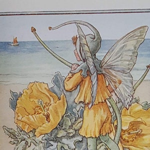 The Horned Poppy Fairy Vintage Print  CICELY MARY BARKER Flower Fairies Nostalgic Original Print Mounted Ready to Frame.
