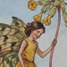 see more listings in the Flower Fairies Mounted section