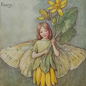 Flower Fairy Vintage Print Celandine - CICELY MARY BARKER Flower Fairies  Original Print Mounted Ready to Frame Valentines