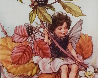 Flower Fairy Vintage Print 1930s  Autumn Blackberry CICELY MARY BARKER Flower Fairies Vintage Original Print Mounted Ready to Frame