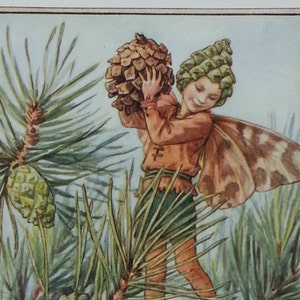 May include: A fairy with brown wings and a pine cone hat stands on a pine branch holding a pine cone. The text "The PINE TREE Fairy" is at the bottom of the image.