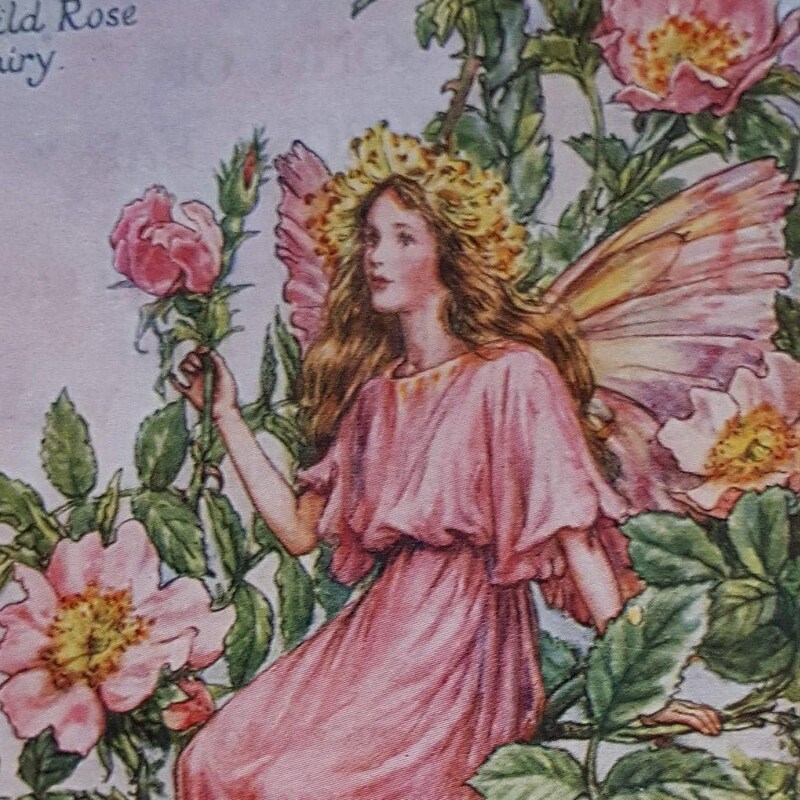 Rose Fairy - Etsy