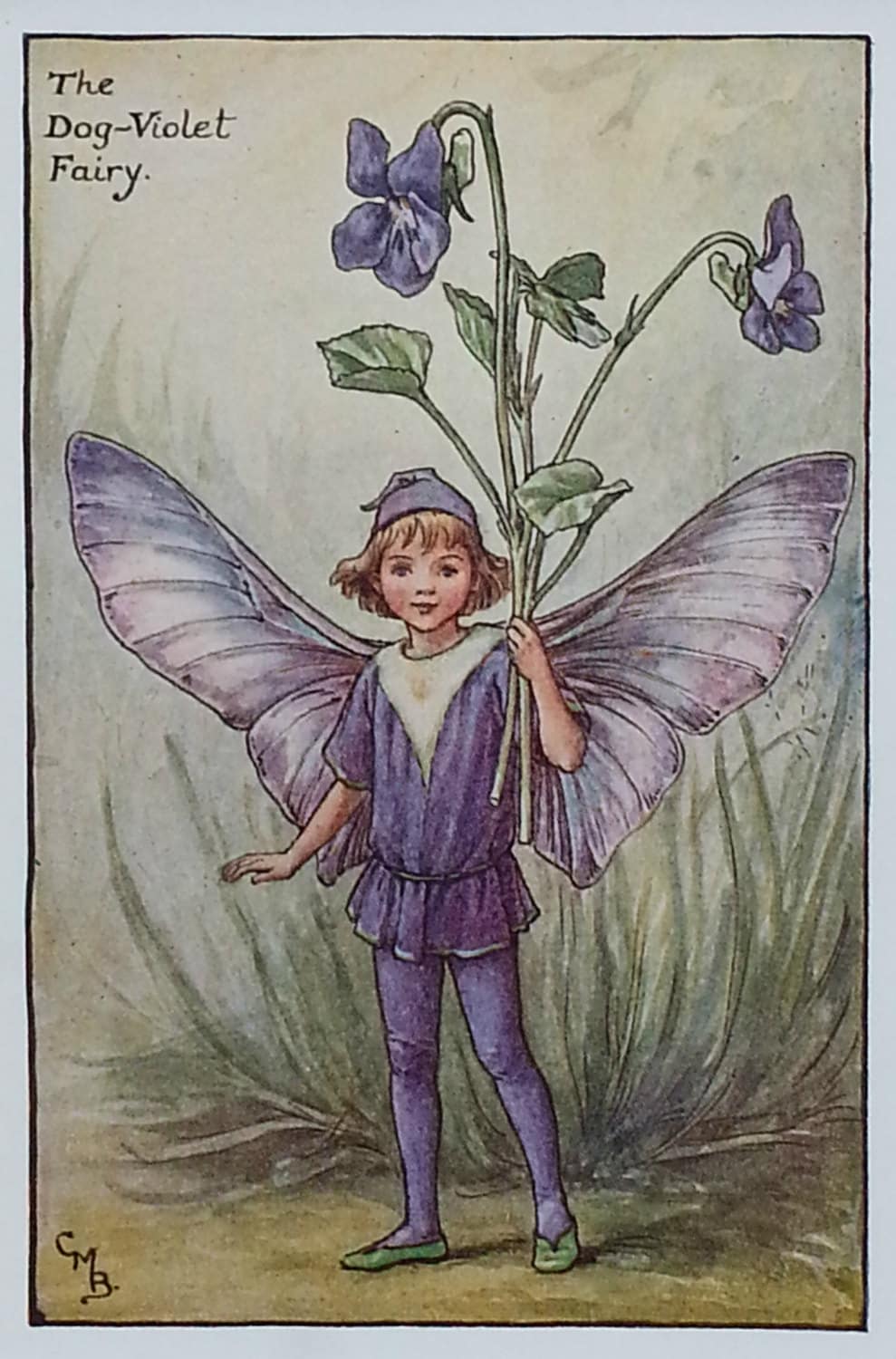 Purple fairy deals