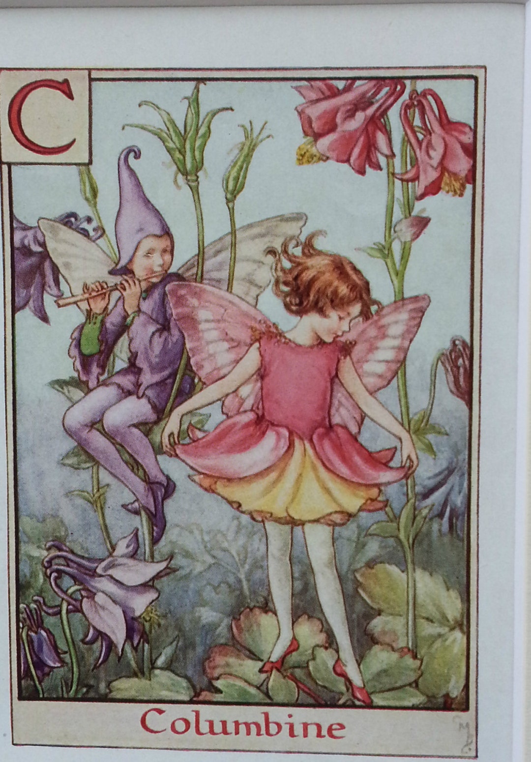 Flower Fairies Mounted C Columbine Alphabet Flower Fairy CICELY