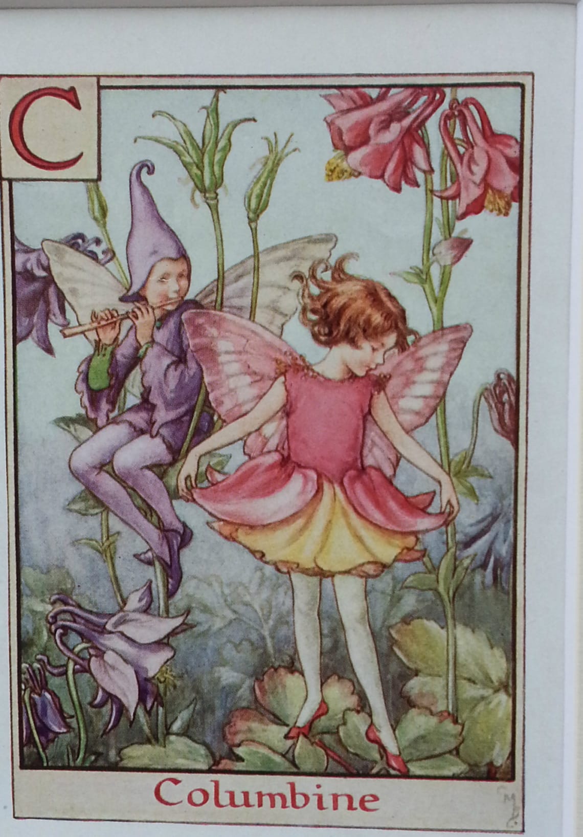 Flower Fairies Mounted C Columbine Alphabet Flower Fairy image 1