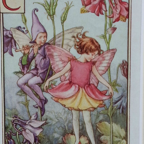 Flower Fairies: the WILD ROSE FAIRY Vintage Print C1930 by Cicely