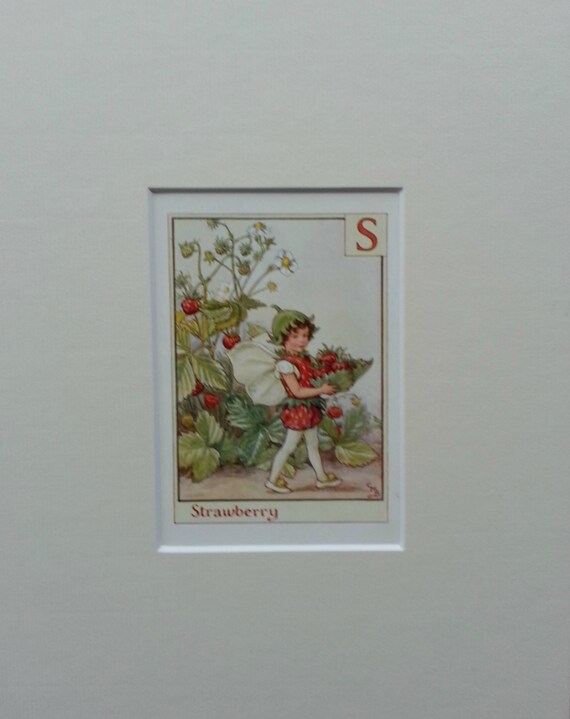 Flower fairies Alphabetの妖精 Flower Fairies Mounted F Fuchsia Alphabet Flower Fairy