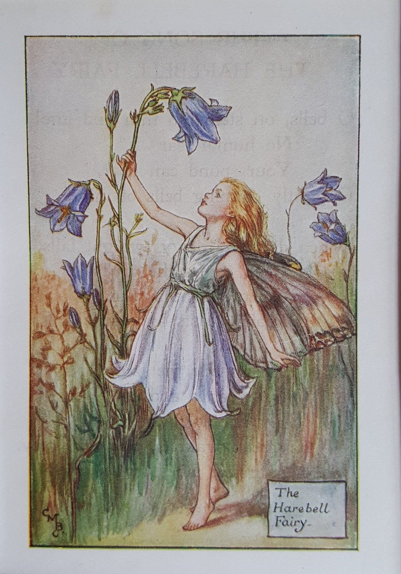 Harebell Flower Fairy Vintage Print Cicely Mary Barker Flower Fairies Original Print 1930s Mounted ready to Frame image 1