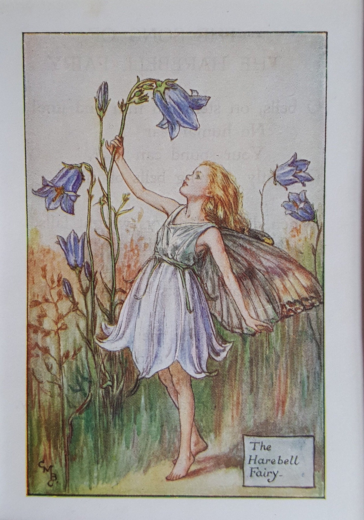 Cicely mary barker flower cheap fairies