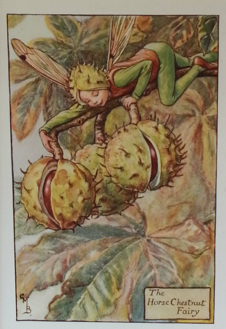 Flower Fairy Vintage Print 1930s Autumn Horse Chestnut CICELY image 1