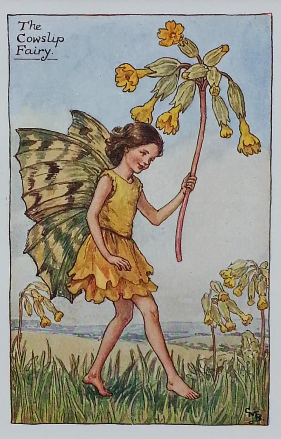 Flower Fairy Cowslip CICELY MARY BARKER Flower Fairies Vintage