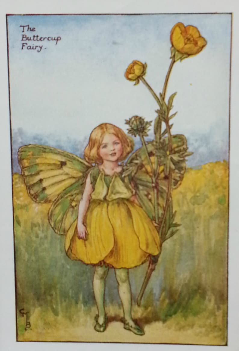 Flower Fairies Buttercup Summer Mounted  Flower Fairy  CICELY image 1
