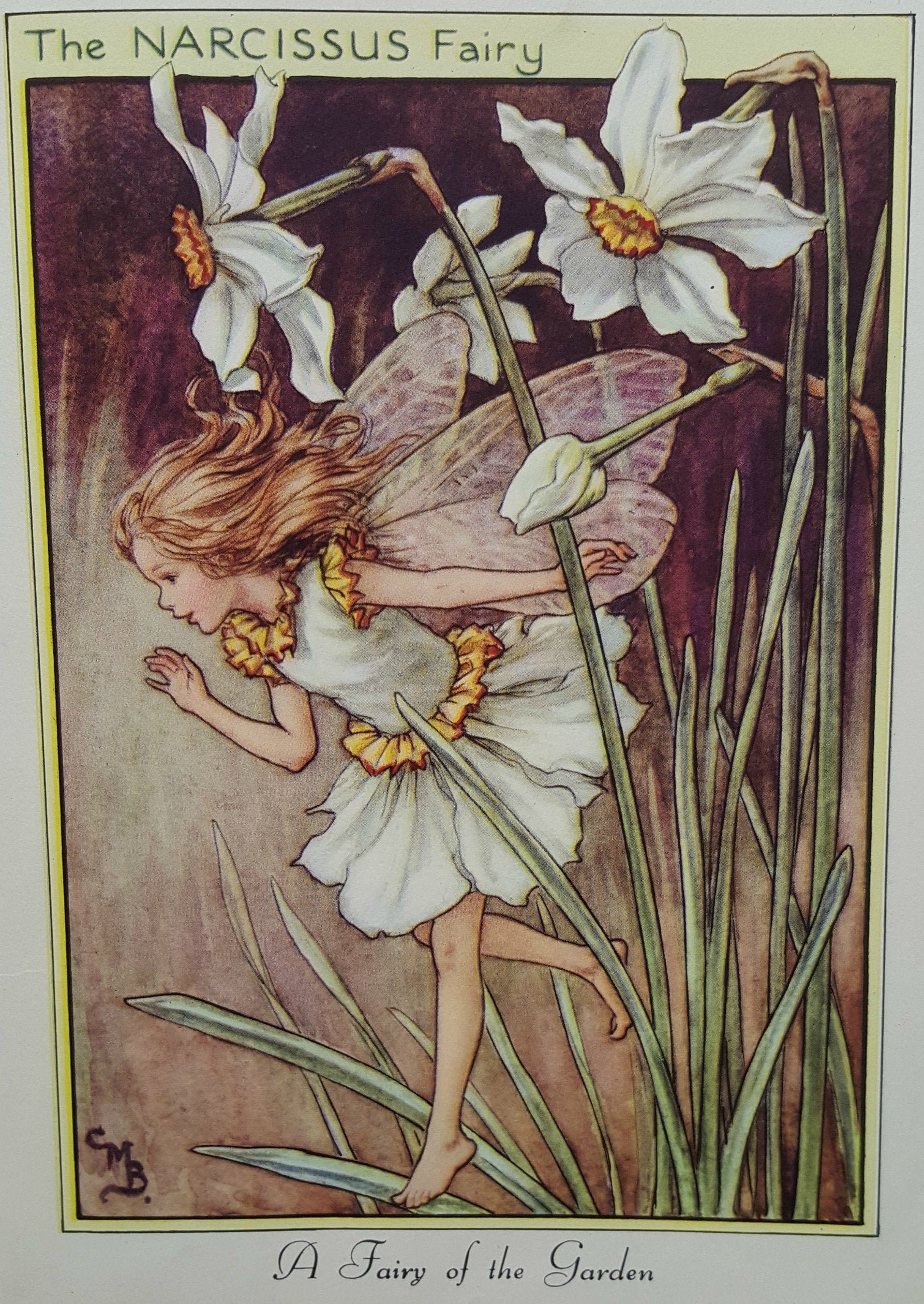 Flower Fairy Mounted Vintage Print Narcissus Garden Fairy Cicely Mary Barker Flower Fairies Original Print 1930s Mounted ready to Frame