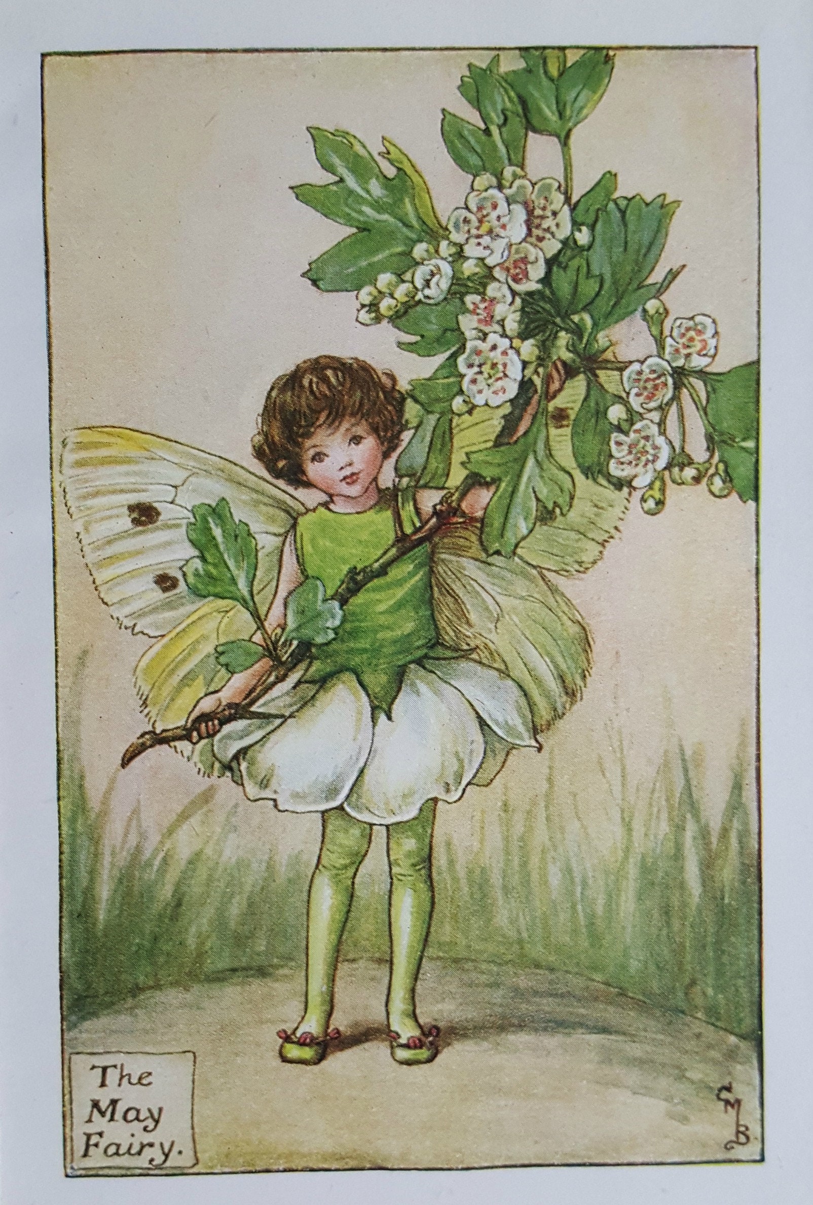 Flower Fairy Vintage Print 1930s Mounted May Fairy Cicely Mary