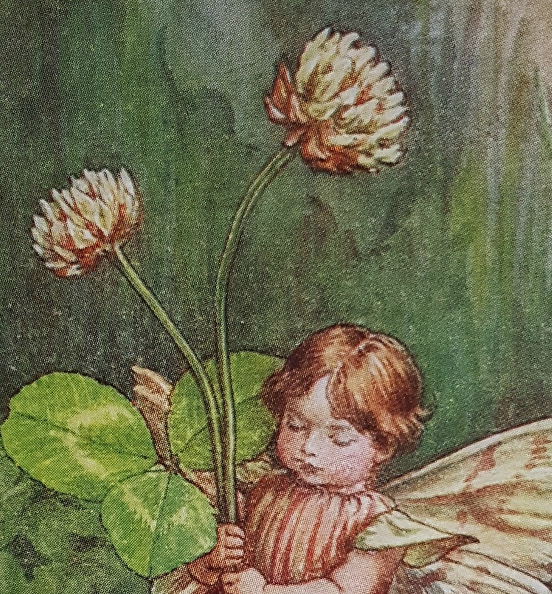 その他 fairy AmiAmi [Character & Hobby Shop] | TV Anime 