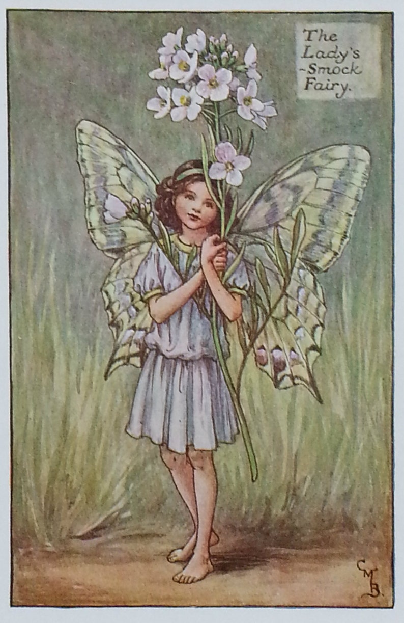 Flower Fairy Lady's Smock Vintage Print 1930s Mounted image 1