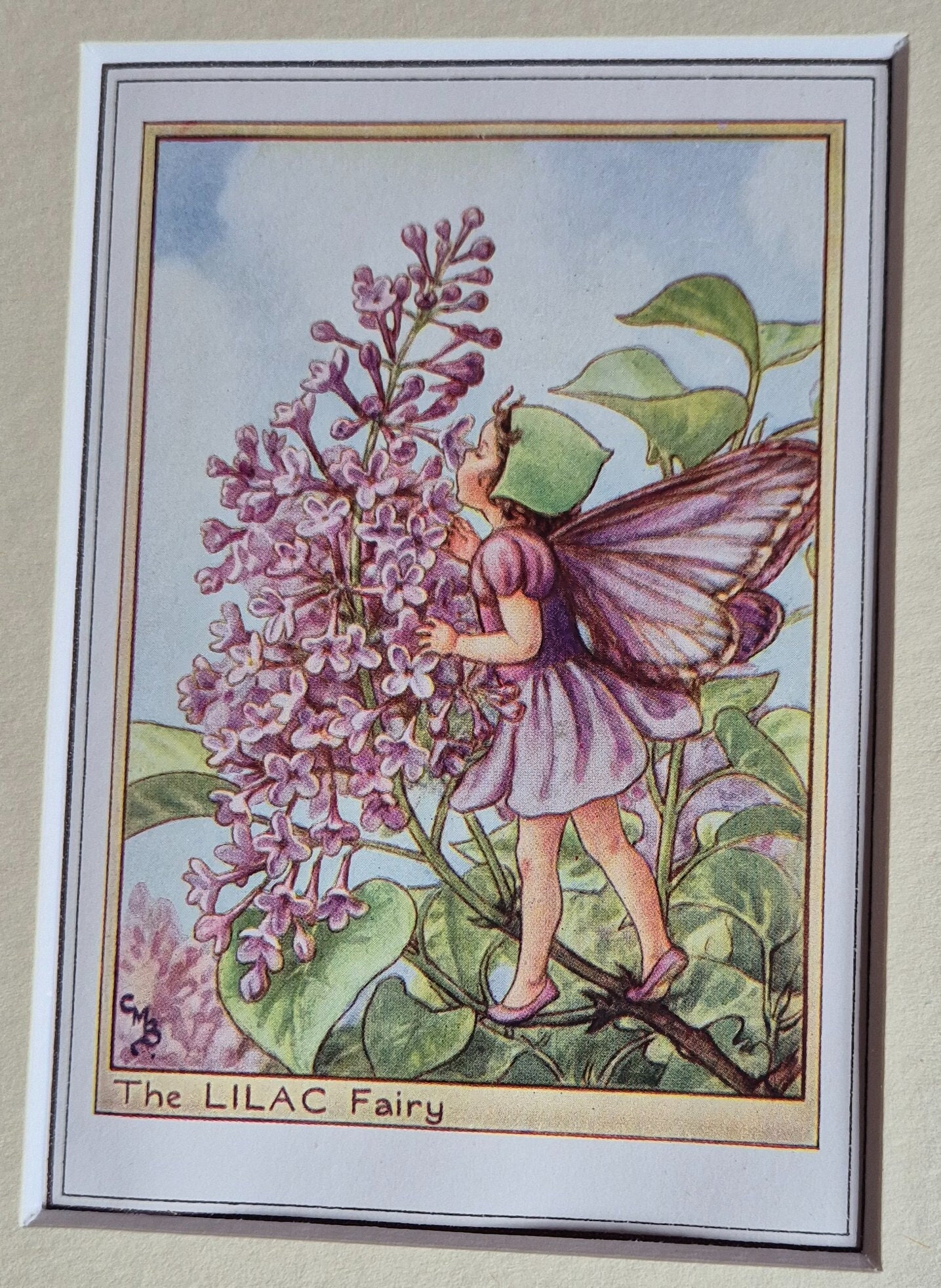 Lilac Tree Flower Fairy Vintage Print CICELY MARY BARKER Flower