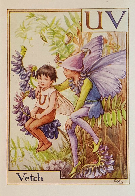 Flower fairies Alphabetの妖精 Flower Fairies Mounted Z for Zinnia Alphabet Flower Fairy