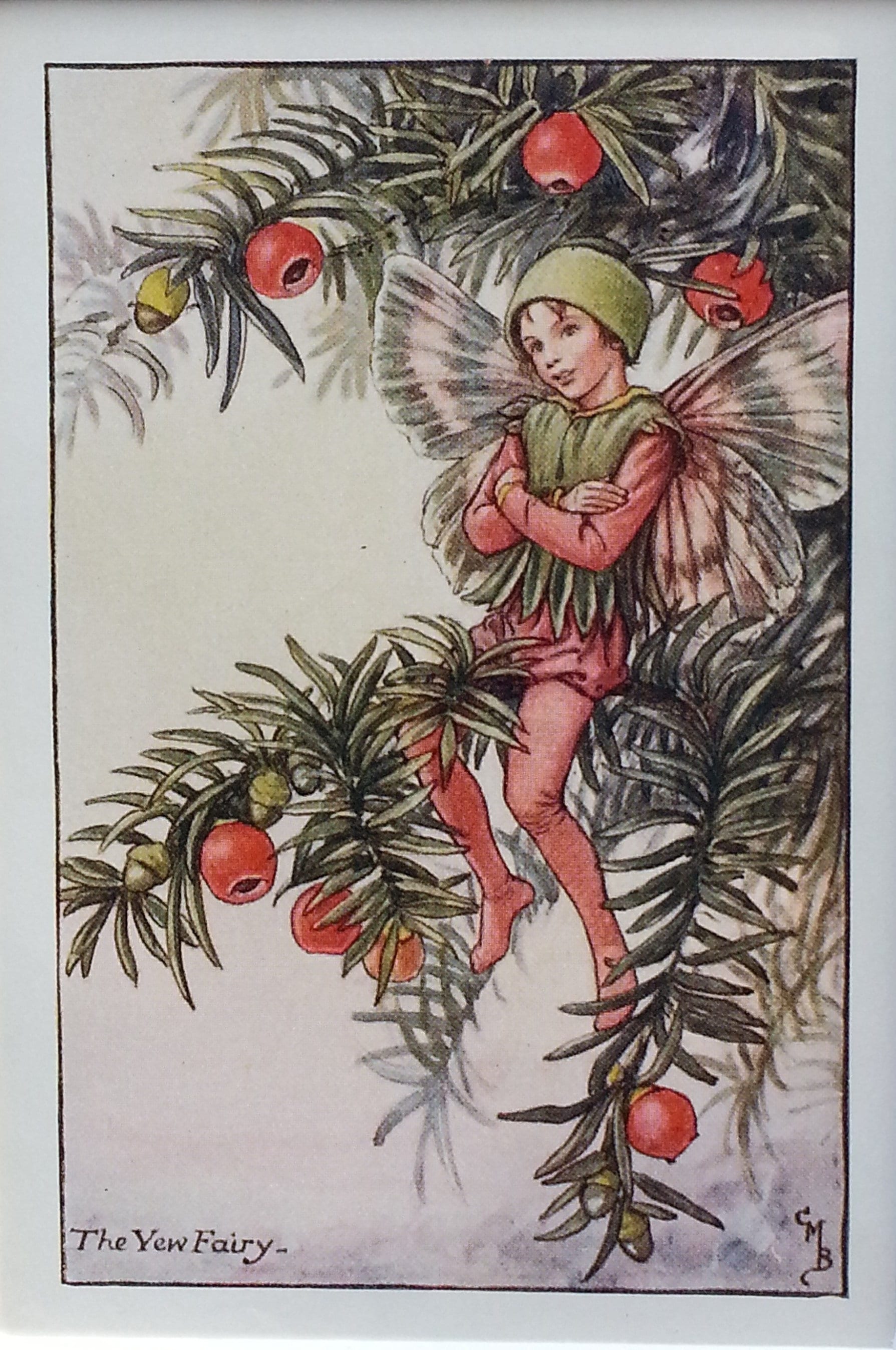 FAIRY CHRISTMAS レプリカチケット&ステッカー Flower Fairy Yew Christmas CICELY MARY BARKER Flower Fairies