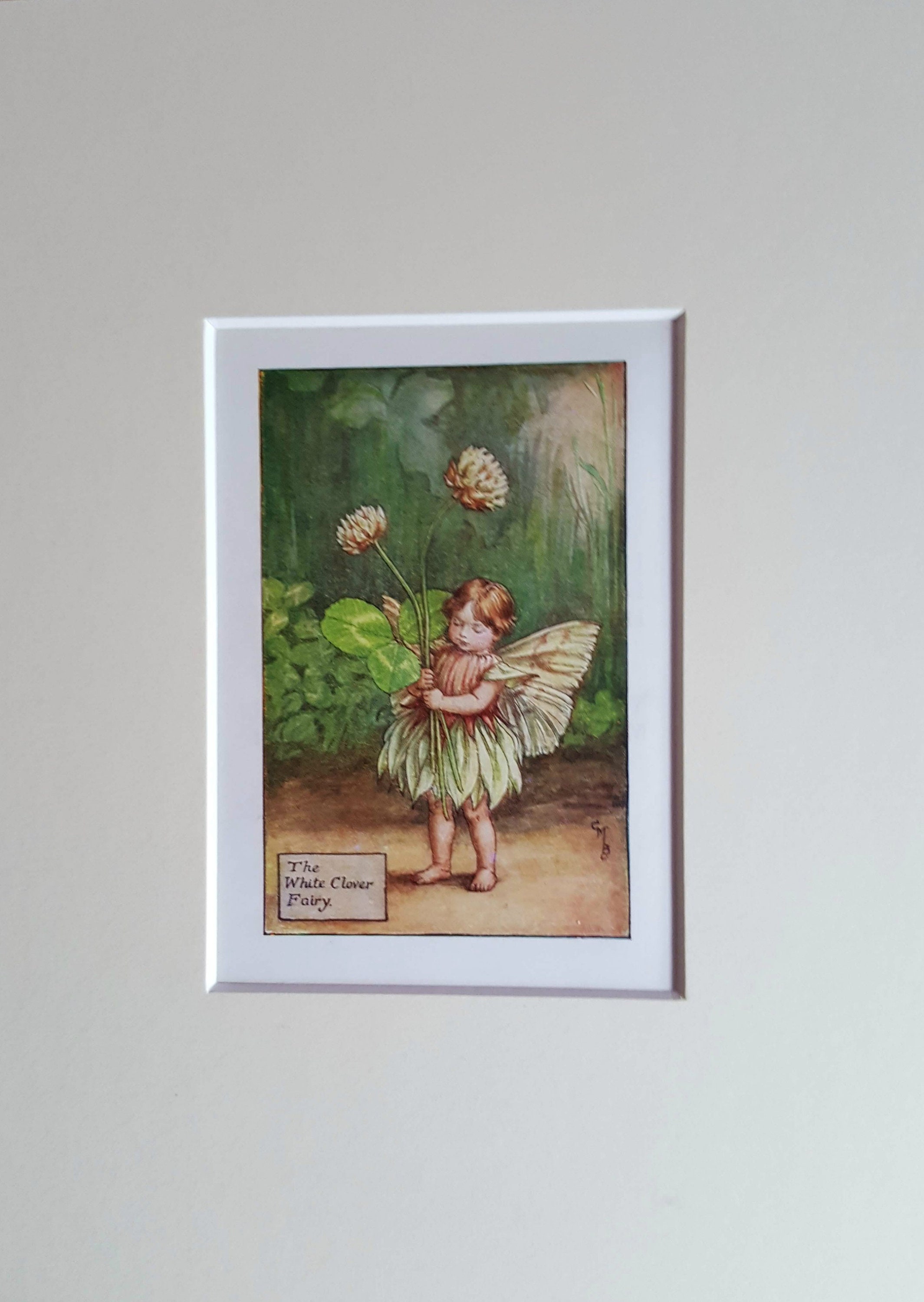 White Clover Summer Flower Fairy Mounted Flower Fairies