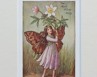 Flower Fairy Vintage Print 1930s Wind Flower (wood Anemone