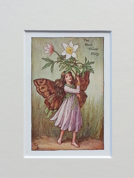 Flower Fairy Vintage Print 1930s Wind Flower (wood Anemone